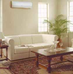 ��� ��������